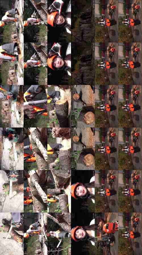 [UNCENSORED-LEAK] COGM-091 Forestry girl! Let's get to work! Outdoor sex in the forest with a cute forestry girl