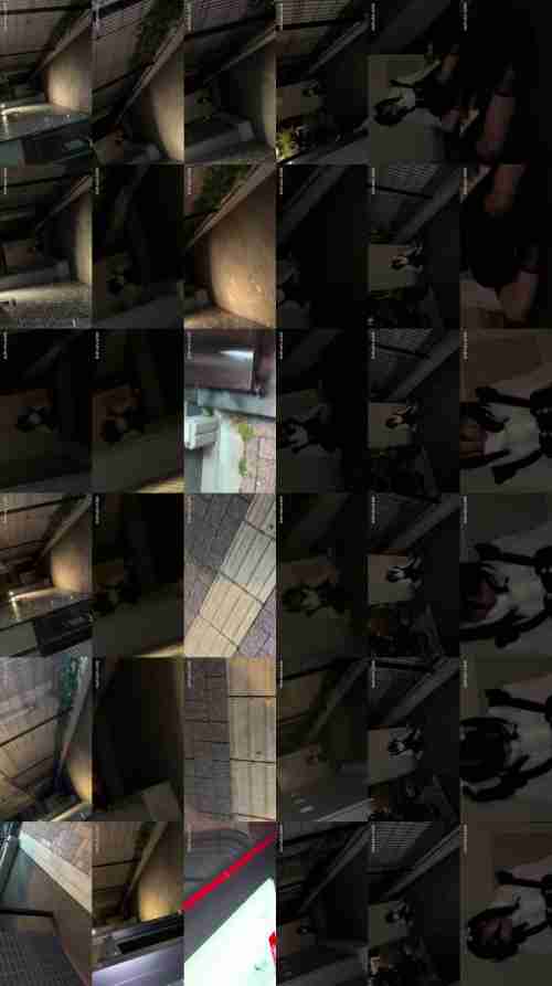 [UNCENSORED-LEAK] HMN-779 BITCH MELTDOWN Early Morning: Girls Sleeping on the Streets - The Host's Return from Kabukicho, Shinku